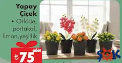YAPAY ÇİÇEK ÇEŞİTLERİ fiyat ve kampanya bilgisi